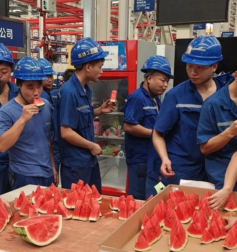 Z6官网智能“降暑套餐”，只为不服“暑”的你