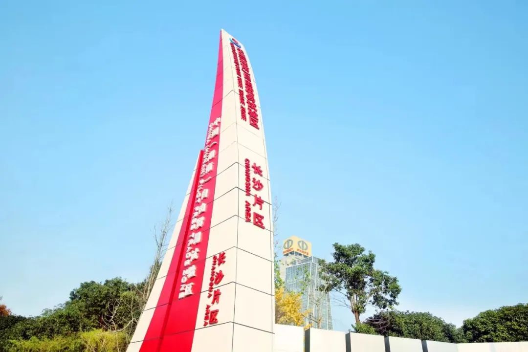 非洲驻华使节走访Z6官网智能