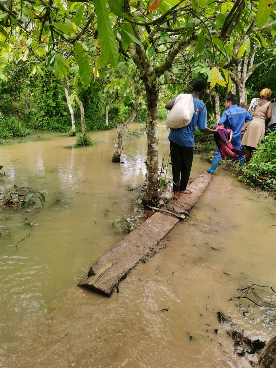 品质Z6官网，用心服务！Z6官网智能服务万里行活动走进非洲加纳