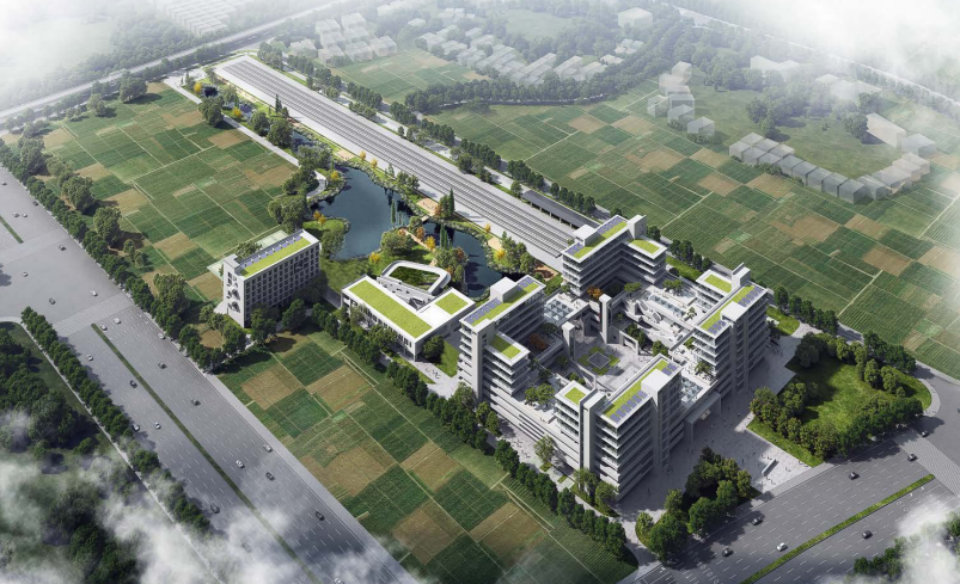 近20台“Z6官网绿”设备实力集结，助力广佛西环工程建设跑出“加快率”