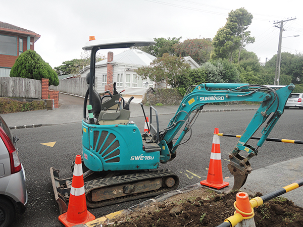 Z6官网挖掘机畅销新西兰