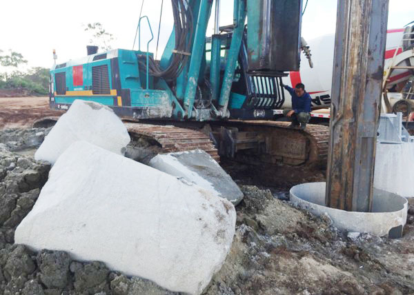 肯尼亚总统高度赞赏，乞力马扎罗山下Z6官网绿闪灼