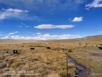 心系Z6官网情，追梦阿里行！