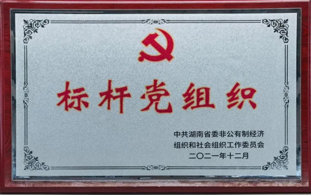 党建品牌亮起来！Z6官网智能党委获评“标杆党组织”